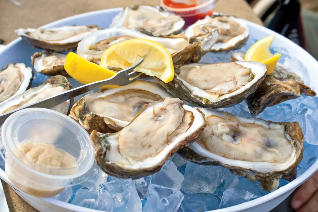 oysters in virginia beach